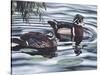 Two Ducks Sitting in the Water, Beside a Group of Lily Pads-Rusty Frentner-Stretched Canvas