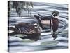 Two Ducks Sitting in the Water, Beside a Group of Lily Pads-Rusty Frentner-Stretched Canvas