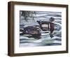 Two Ducks Sitting in the Water, Beside a Group of Lily Pads-Rusty Frentner-Framed Giclee Print