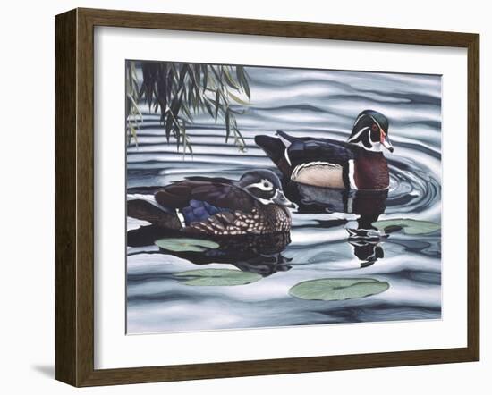 Two Ducks Sitting in the Water, Beside a Group of Lily Pads-Rusty Frentner-Framed Giclee Print