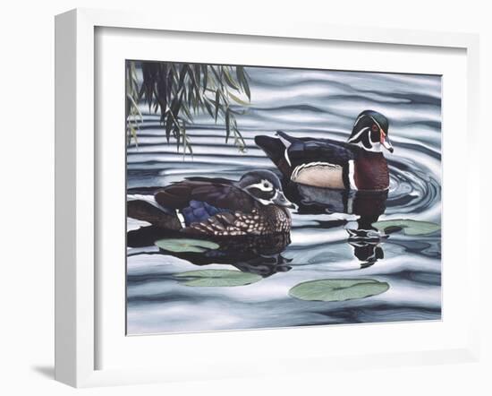 Two Ducks Sitting in the Water, Beside a Group of Lily Pads-Rusty Frentner-Framed Giclee Print