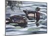 Two Ducks Sitting in the Water, Beside a Group of Lily Pads-Rusty Frentner-Mounted Giclee Print