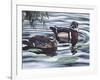 Two Ducks Sitting in the Water, Beside a Group of Lily Pads-Rusty Frentner-Framed Giclee Print