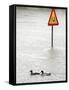 Two Ducks Swim Past a Traffic Sign in a Flooded Street Near the Sava River, in Belgrade-null-Framed Stretched Canvas