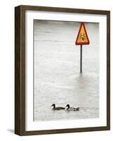 Two Ducks Swim Past a Traffic Sign in a Flooded Street Near the Sava River, in Belgrade-null-Framed Photographic Print