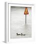 Two Ducks Swim Past a Traffic Sign in a Flooded Street Near the Sava River, in Belgrade-null-Framed Photographic Print