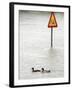 Two Ducks Swim Past a Traffic Sign in a Flooded Street Near the Sava River, in Belgrade-null-Framed Photographic Print