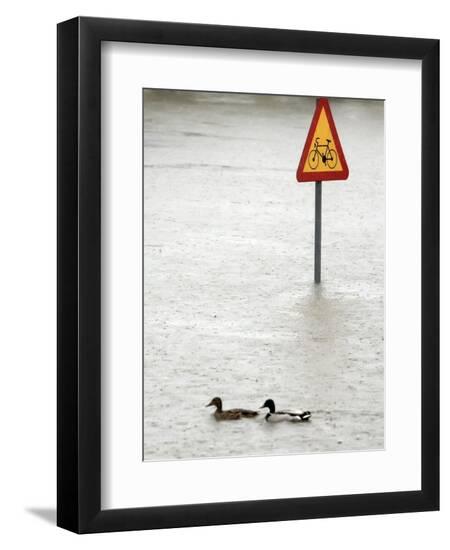Premium Photographic Print, , large