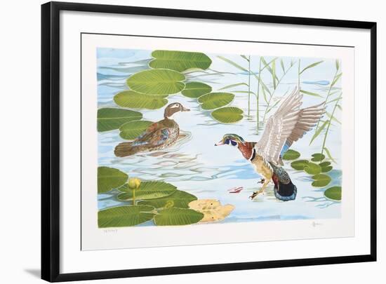 Two Ducks-Brown-Framed Collectable Print