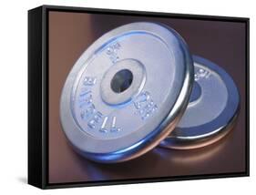 Two Dumbbell Weights for a Workout-null-Framed Stretched Canvas