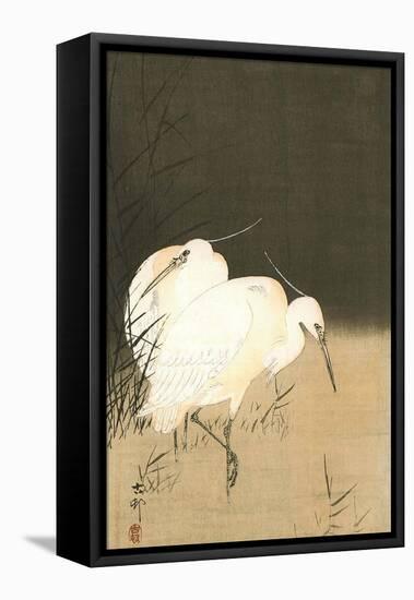 Two Egrets at Night-Koson Ohara-Framed Stretched Canvas