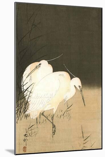 Two Egrets at Night-Koson Ohara-Mounted Giclee Print