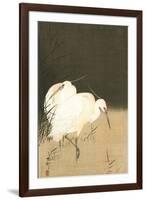 Two Egrets at Night-Koson Ohara-Framed Giclee Print