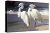 Two Egrets on the beach-Vivienne Dupont-Stretched Canvas