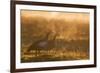 Two Egyptian Geese Call Out Together in the Misty Winter of Richmond Park-Alex Saberi-Framed Photographic Print