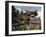 Two Einiosaurus Dinosaurs Walking in the Desert-Stocktrek Images-Framed Art Print