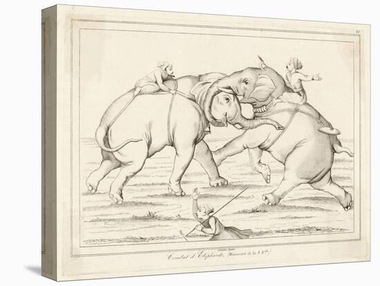 Two Elephants Fighting with Men on Their Backs-Lemaitre-Stretched Canvas