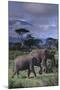 Two Elephants-DLILLC-Mounted Premium Photographic Print