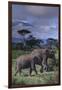 Two Elephants-DLILLC-Framed Premium Photographic Print