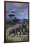 Two Elephants-DLILLC-Framed Photographic Print