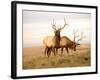 Two Elk-Lorraine Swanson-Framed Photographic Print