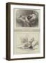 Two Emperors after Death-James Ward-Framed Giclee Print