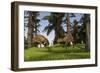 Two Eurohippus Grazing Along a Nearby Swamp-null-Framed Art Print