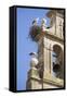 Two European White Storks and their Nests on Convent Bell Tower, Santo Domingo, La Rioja, Spain-Nick Servian-Framed Stretched Canvas