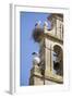 Two European White Storks and their Nests on Convent Bell Tower, Santo Domingo, La Rioja, Spain-Nick Servian-Framed Photographic Print