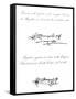 Two Examples of the Signature of Ferdinand Magellan-null-Framed Stretched Canvas