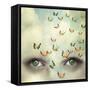 Two Eyes with the Sky and So Many Butterflies Flying on the Forehead-Valentina Photos-Framed Stretched Canvas