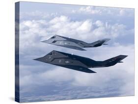 Two F-117 Nighthawk Stealth Fighters in Flight Over New Mexico-Stocktrek Images-Stretched Canvas