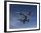 Two F-16's Manuever On An Air-to-air Training Mission-Stocktrek Images-Framed Photographic Print