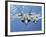 Two F-22 Raptors Fly over the Pacific Ocean-null-Framed Photographic Print
