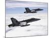 Two F/A-18C Hornets Fly Over the Pacific Missile Range Facility-Stocktrek Images-Mounted Photographic Print