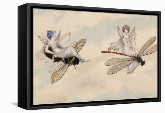 Two Fairies Flying Through the Air, One Seated on a Bee and the Other on a Dragonfly-Amelia Jane Murray-Framed Stretched Canvas