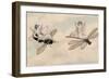 Two Fairies Flying Through the Air, One Seated on a Bee and the Other on a Dragonfly-Amelia Jane Murray-Framed Giclee Print