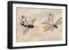 Two Fairies Flying Through the Air, One Seated on a Bee and the Other on a Dragonfly-Amelia Jane Murray-Framed Giclee Print