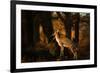 Two Fallow Deer, Cervus Elaphus, in London's Richmond Park-Alex Saberi-Framed Photographic Print