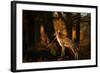 Two Fallow Deer, Cervus Elaphus, in London's Richmond Park-Alex Saberi-Framed Photographic Print