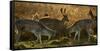 Two Fallow Deer, Dama Dama, Fighting in London's Richmond Park-Alex Saberi-Framed Stretched Canvas