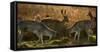 Two Fallow Deer, Dama Dama, Fighting in London's Richmond Park-Alex Saberi-Framed Stretched Canvas