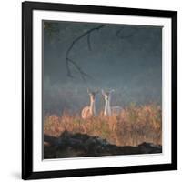 Two Fallow Deer Females, Dama Dama, in Early Morning Haze in Richmond Park-Alex Saberi-Framed Photographic Print