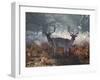Two Fallow Deer Stags, Dama Dama, Stand In Richmond Park At Dawn-Alex Saberi-Framed Photographic Print