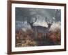 Two Fallow Deer Stags, Dama Dama, Stand In Richmond Park At Dawn-Alex Saberi-Framed Photographic Print