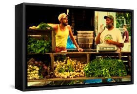 Two Farmers at the Union Square Green Market, New York City.-Sabine Jacobs-Framed Stretched Canvas