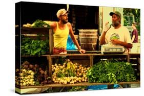 Two Farmers at the Union Square Green Market, New York City.-Sabine Jacobs-Stretched Canvas