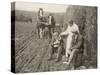 Two Farmers Take a Welcome Break from Ploughing and a Kindly Woman Pours One of Them a Drink-null-Stretched Canvas