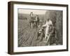 Two Farmers Take a Welcome Break from Ploughing and a Kindly Woman Pours One of Them a Drink-null-Framed Photographic Print