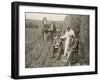 Two Farmers Take a Welcome Break from Ploughing and a Kindly Woman Pours One of Them a Drink-null-Framed Photographic Print